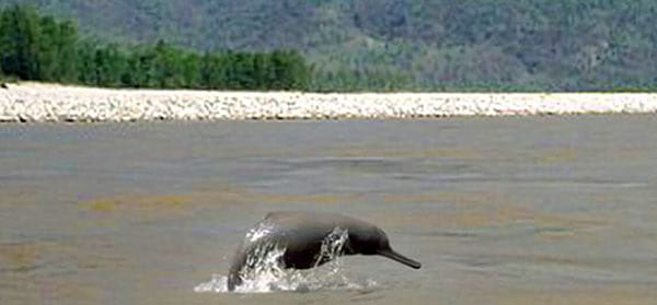 Bardiya National Park
