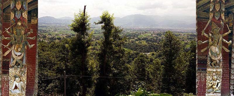 Countryside