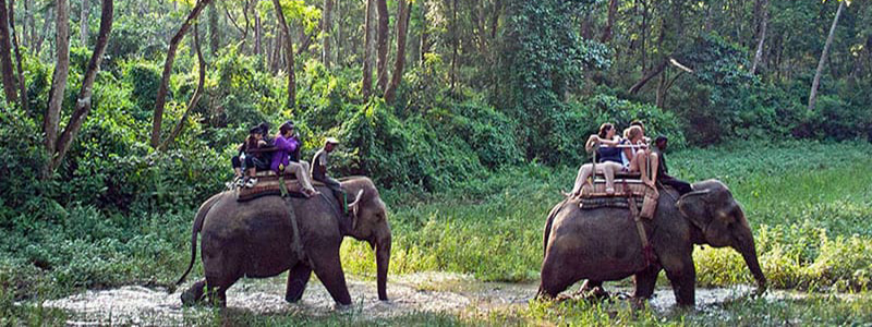 Paseo en elefante por el parque nacional de Chitwan