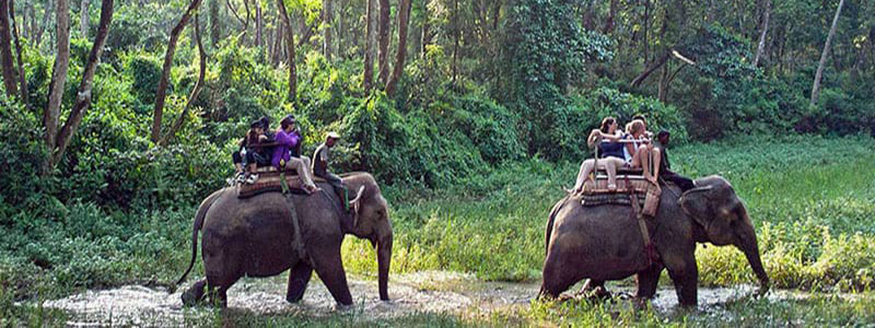 Elephant ride