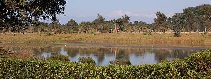 De Lumbini a Himalaya