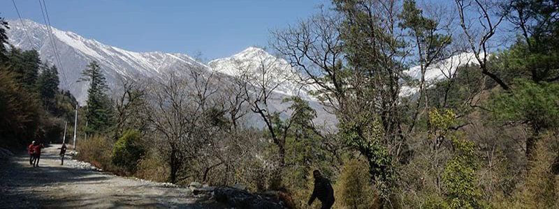 Mt. Nilgiri south face