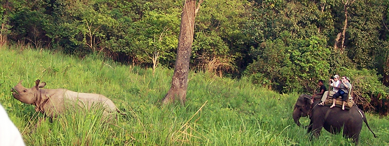 Safari en elefante